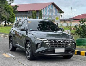 2024 HYUNDAI SUV 2.0 2WD AT Gray