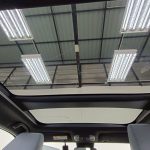 Gallery 12
