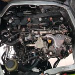 Gallery 15