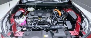 Hover Image