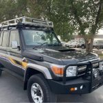 Gallery 11