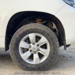 Gallery 12