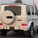 Gallery 6