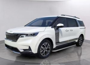 2023 KIA CARNIVAL MPV 2.2 2WD AT White