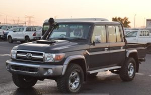 2019 TOYOTA LAND CRUISER SUV 4.5 4WD MT Grey