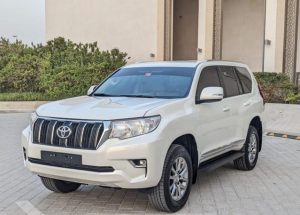 2019 TOYOTA LAND CRUISER SUV 4.0 4WD AT White