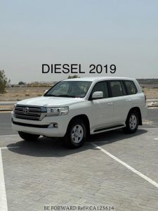 2019 TOYOTA LAND CRUISER SUV 4.8 4WD AT White