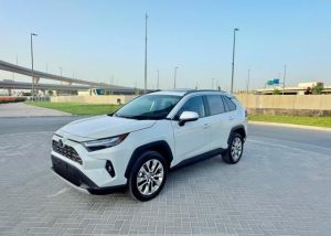2024 TOYOTA RAV4 SUV 2.4 2WD AT White