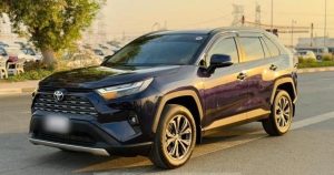 2024 NISSAN RAV-4 SUV 2.5 4WD AT Purple
