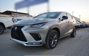2018 LEXUS NX SUV 2.0 2WD AT Grey