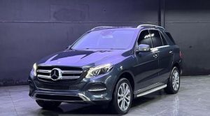 2016 MERCEDES-BENZ GLE – CLASS SUV 2.2 4WD AT Purple