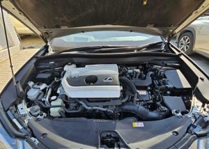 Hover Image