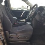 Gallery 10