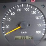 Gallery 11