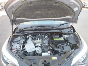 Hover Image